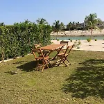 جو هابي